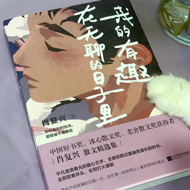 全国中考语文热点作家作品集全套4册 我的有趣在无聊的日子里+在更热烈的风里相遇+玫瑰从来不慌张+人生没有多余的疼肖复兴张丽钧 - 图1