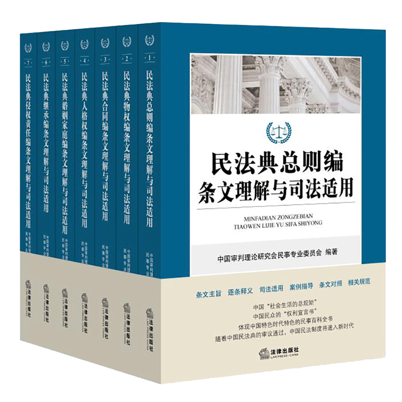 民法典2020年版 民法典总则编条文理解与司法适用 全国 新修订版合同人格权婚姻家庭继承侵权责任法编条文主旨逐条释义案例指导 - 图1