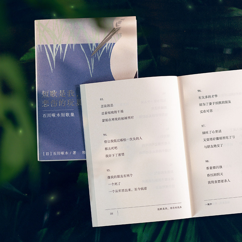 短歌是我，悲伤的玩具 日本国民歌人石川啄木作品新译 译者韩钊详细注释长文导读解析历史背景 还原天真诗作背后一代青年的迷茫,淘宝优惠券,粉丝福利购,淘宝优惠卷