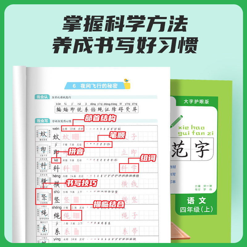 2024阳光同学写好规范字语文4四年级上册练字帖人教版全国通用小学专用儿童生字笔顺每日一练作业本练字小学生专用字帖练字帖
