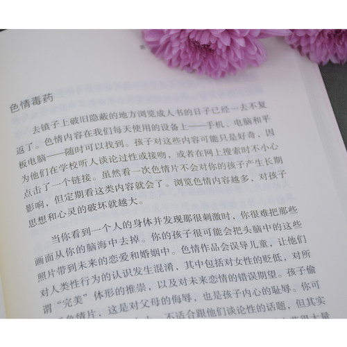 屏幕时代的养育 盖瑞·查普曼著中国社会出版社纽约时报畅销书《爱的五种语言》作者新作数字时代的父母指导手册正面管教家庭教育 - 图1