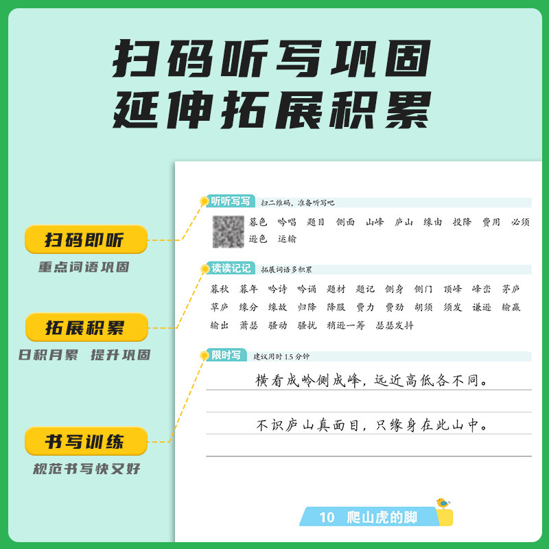 2024阳光同学写好规范字语文4四年级上册练字帖人教版全国通用小学专用儿童生字笔顺每日一练作业本练字小学生专用字帖练字帖