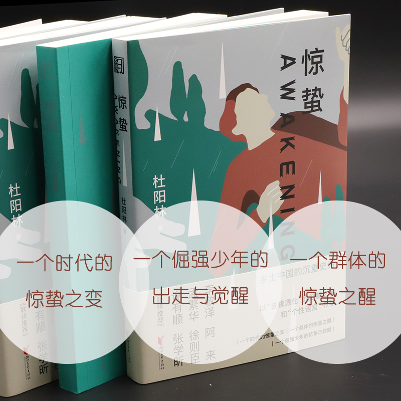 惊蛰小说书 经典成长故事 比活着/平凡的世界 真实 励志 杜阳林四川川北方言小说正能量还原高考苦难 畅销正版 - 图2