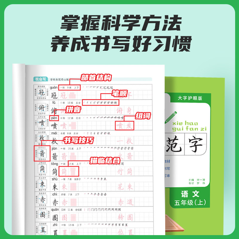 2024阳光同学写好规范字语文5五年级上册练字帖人教版全国通用小学专用儿童生字笔顺每日一练作业本练字小学生专用字帖练字帖