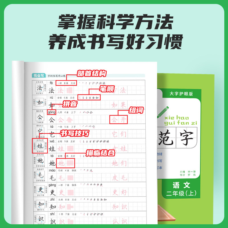 2024阳光同学写好规范字语文2二年级上册练字帖人教版全国通用小学专用儿童生字笔顺每日一练作业本练字小学生专用字帖练字帖