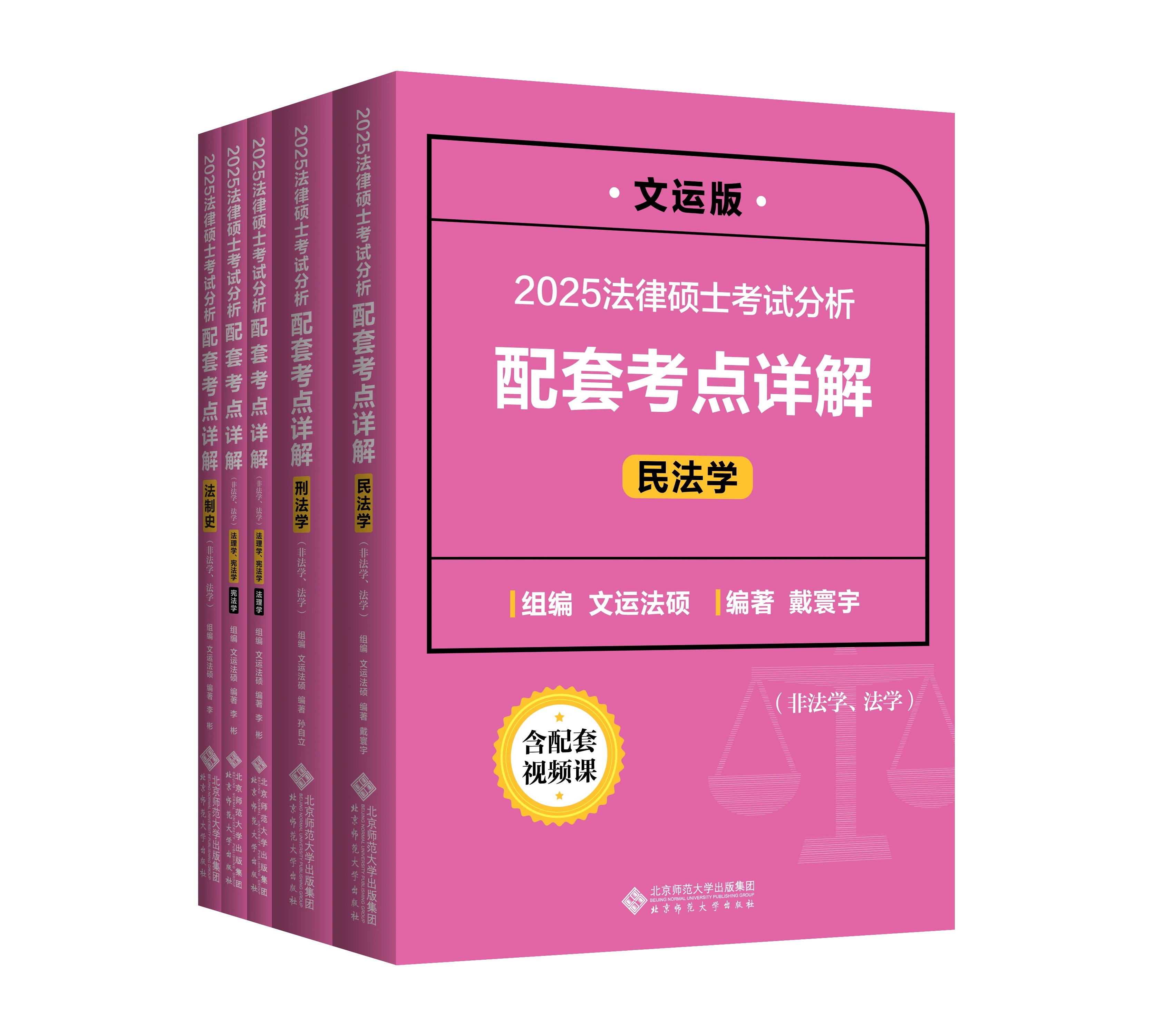 【官方正版】2025法律硕士联考考试分析配套考点详解戴寰宇民法孙自立刑法王振霞法制史李彬法理宪法学文运法硕非法学法学通用-图0