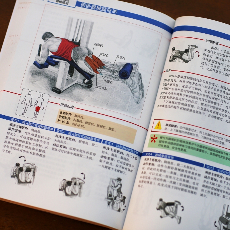 力量训练解剖全书 肌肉与力量的解剖学与认知及科学训练方案 1000多幅解剖图+400多项肌肉练习+300多个配套视频北京科学技术出版社 - 图2