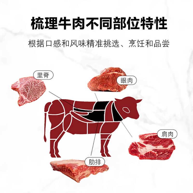 世界牛肉指南牛肉料理饮食文化烹饪制作牛肉知识科普百科大全-图1