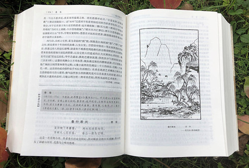 正版唐诗鉴赏辞典新一版(精装版) 中国古诗词大全集 唐诗鉴赏词典大字体不伤眼 高中生文学鉴赏工具诗歌诗词书籍上海辞书出版社 - 图2