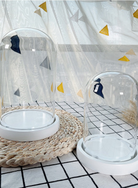 eva防滑手办透明永生花花