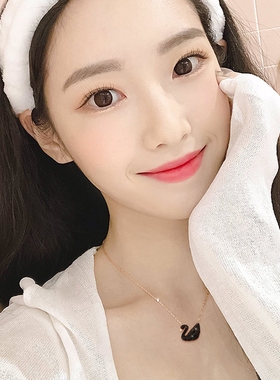 时尚韩版天鹅镶钻钛钢项链女百搭高级感简约设计精致女生闺蜜项链