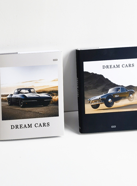 科技感汽车主题真书样板间装饰