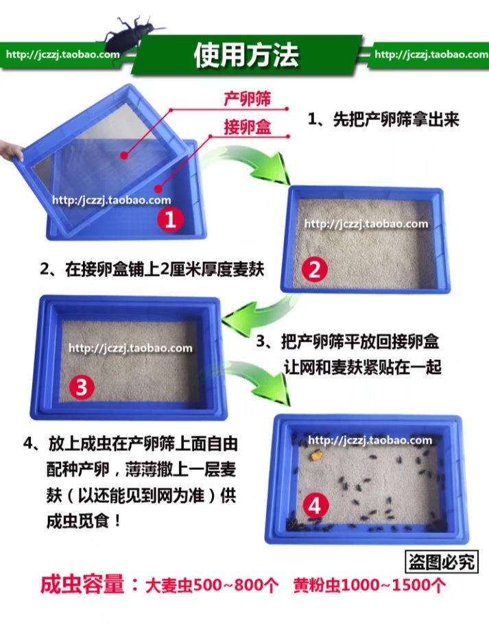 蛋白虫产卵筛 黄粉虫产卵筛 黄粉虫孵化盒 蛋白虫接卵筛包邮 - 图1