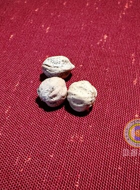 热振通用柏香籽原皮原壳护佑配珠