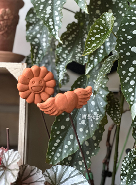 新款换盆利器盆套件红陶养根透气