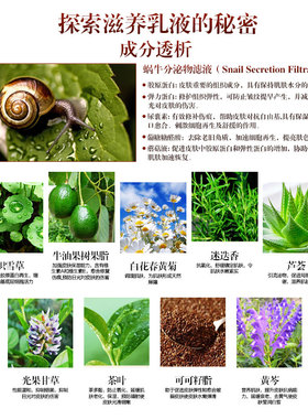 蜗牛提亮肤色控油正品精华乳液