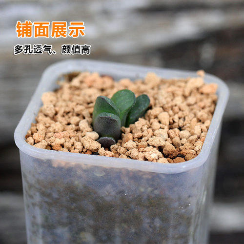 正品火烧硅藻土多孔结构多肉兰花盆栽颗粒土矿物质保水疏松透气 - 图1