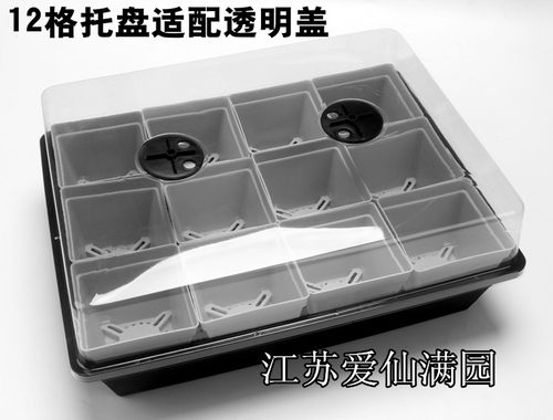 2套起包邮-蓄水育苗箱 多肉花盆蓄水箱 黑方套餐组合 可侵盆 - 图3