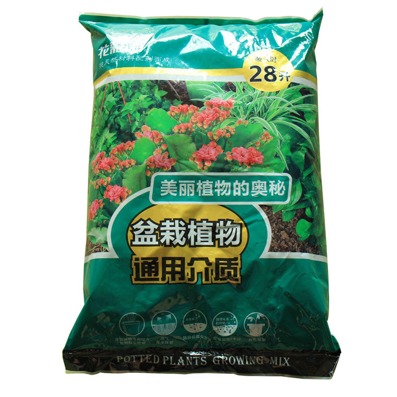 图5