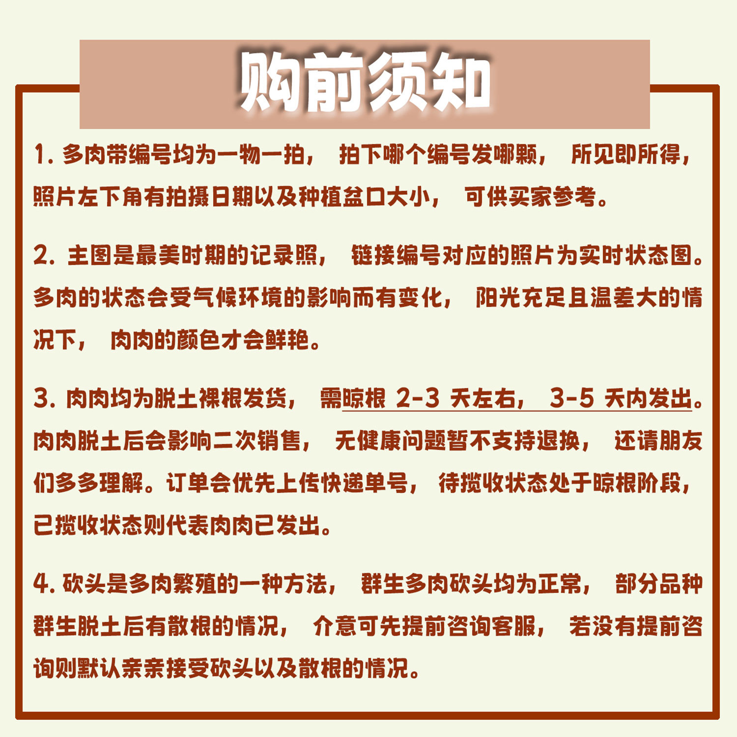 【一物一拍】冰玉奶油冰玉月影系厚叶多肉植物盆栽绿植满28包邮-图2