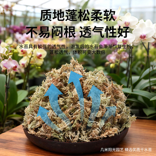 蝴蝶兰专用水苔兰花植料乌龟爬宠冬眠垫材干苔藓石斛种植青苔造景 - 图0