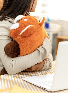 趴趴动物公仔抱枕条纹猫毛绒玩具萌宠家居摆件办公儿童睡觉抱枕