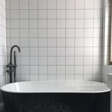 ЛЮБАРА Слот маленькая белая кирпичная настенная плитка