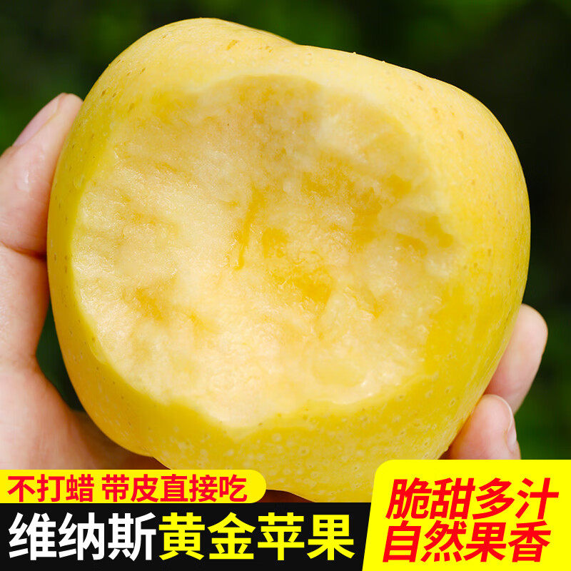 正宗特级烟台维纳斯苹果孕妇水果奶油当季新鲜现摘黄苹果整箱包邮,淘宝优惠券,粉丝福利购,淘宝优惠卷