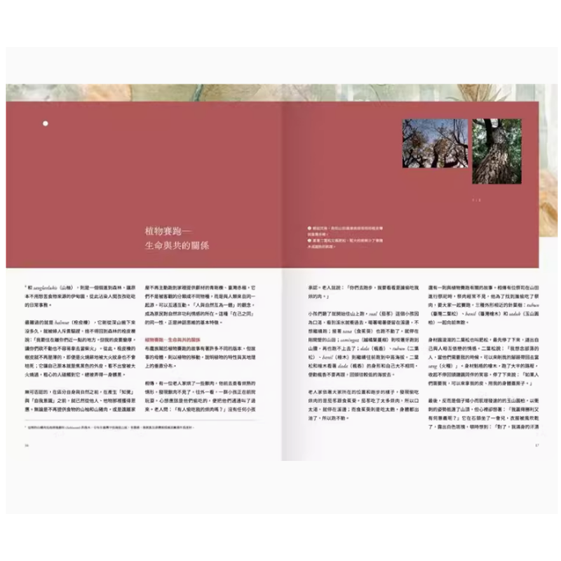 【预售】台版 有灵 原民植物智慧 麦浩斯 郑汉文 透过部落耆老口传的知识阅读风物之诗与土地之歌科普书籍