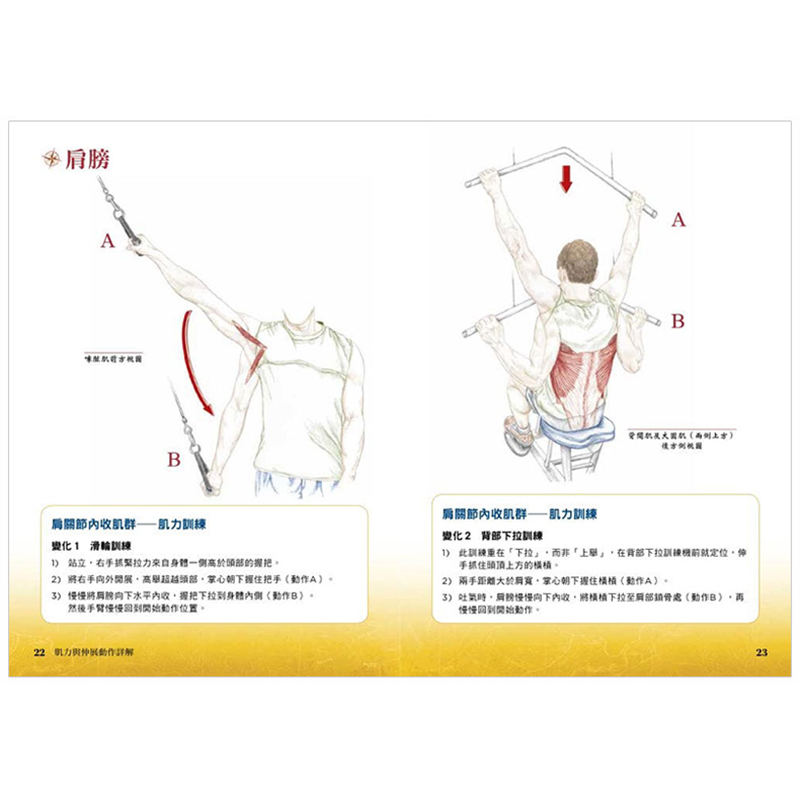 【预售】台版 肌力与伸展动作详解 人体解剖全书附册 瑜伽 皮拉提斯 伸展 医疗常识 医疗健康类书籍 枫叶社文化 - 图3