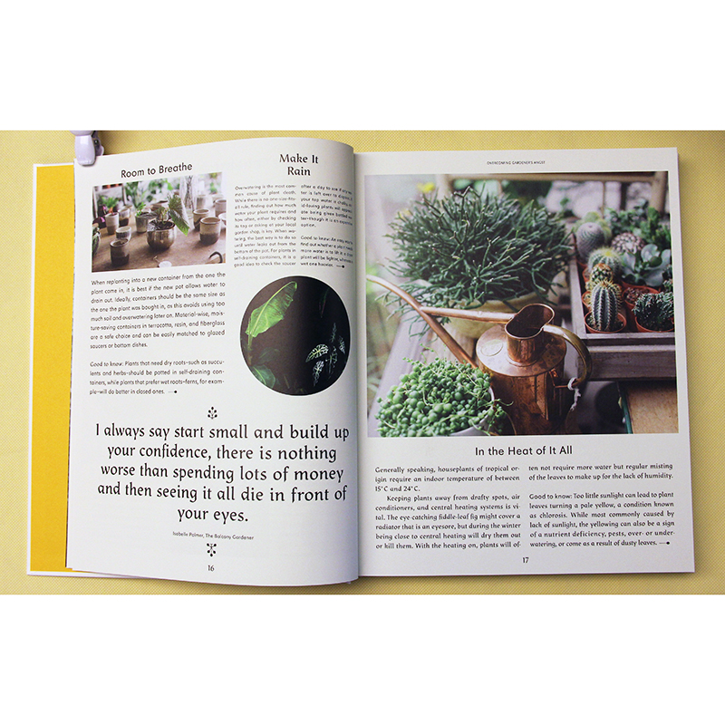 英文原版 Evergreen长青与植物一起生活 居住空间的植物花草装饰阳台庭院室内景观绿化设计书籍