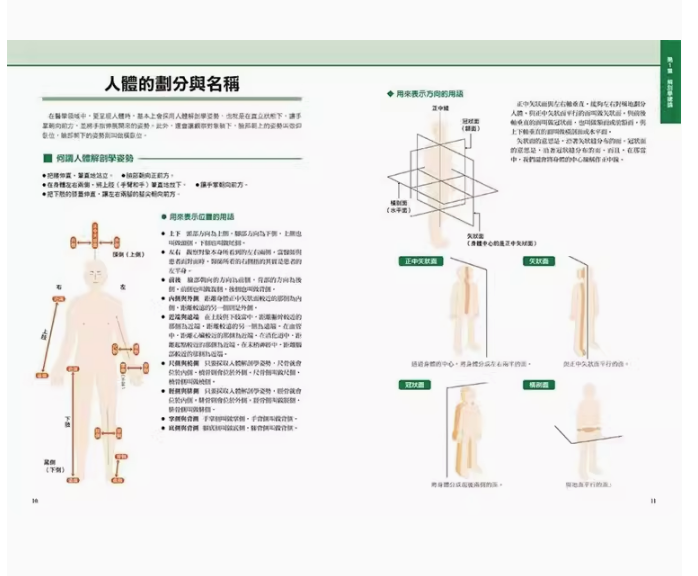 【预售】台版 *新版 人体全解剖图鉴 三悦文化 水嶋章阳 从头到脚从里到外完整解剖人体基本构造医疗保健书籍 - 图0