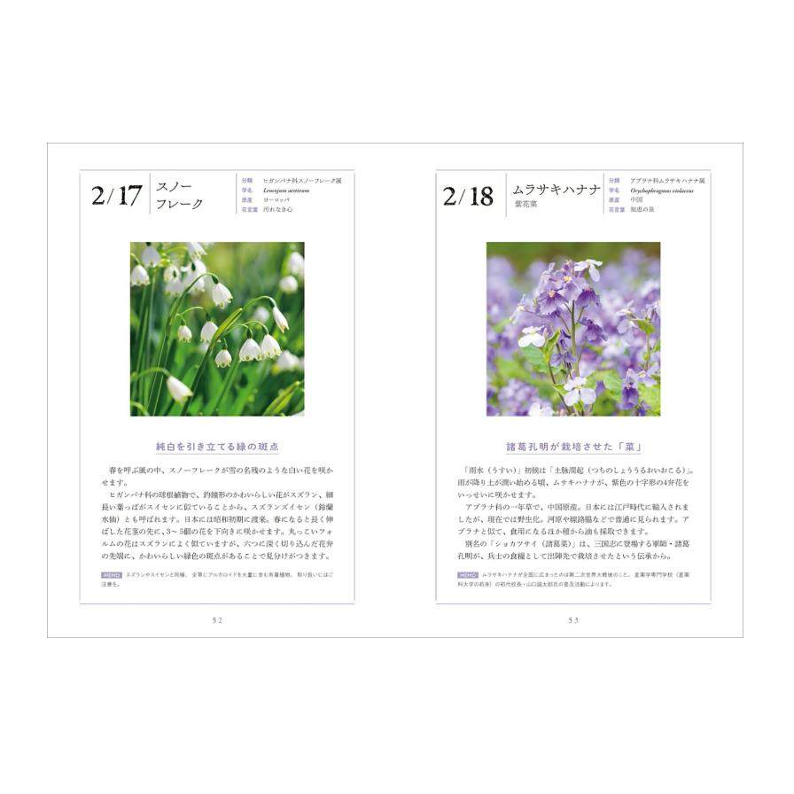 【预售】日文原版 花と暦を楽しむ366日 -あなたに贈りたい 季節の花ー 森乃 おと 366天赏花与日历—我想送给你的时令鲜花 玄光社