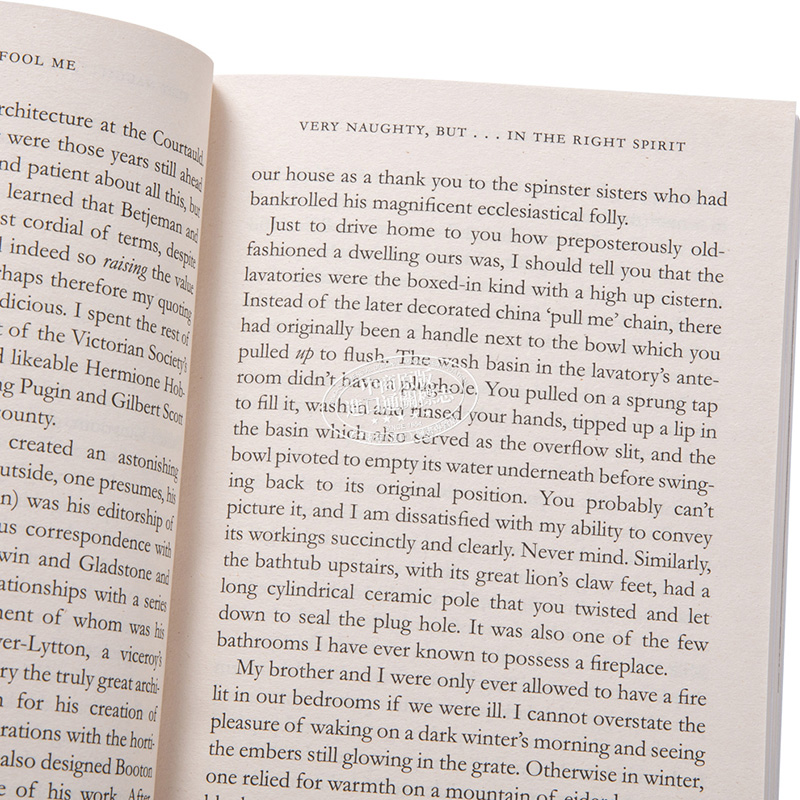 【中商原版】史蒂芬·弗莱自传 愚人自娱 英文原版 人物传记 More Fool Me Stephen Fry Penguin - 图2