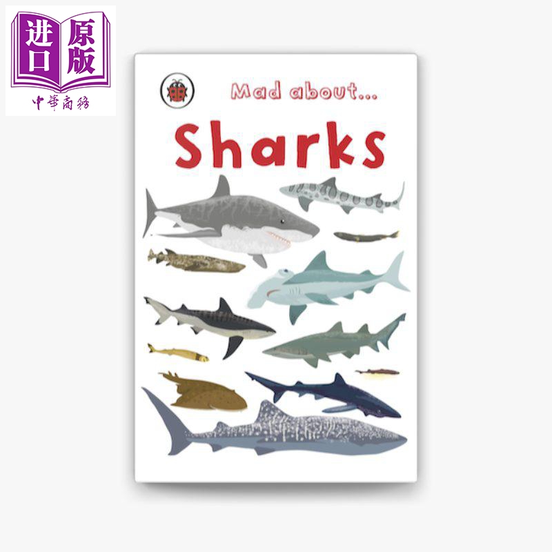 现货 Mad About Sharks 让人着迷的鲨鱼 海洋生物动物科普 精装【中商原版】 - 图0