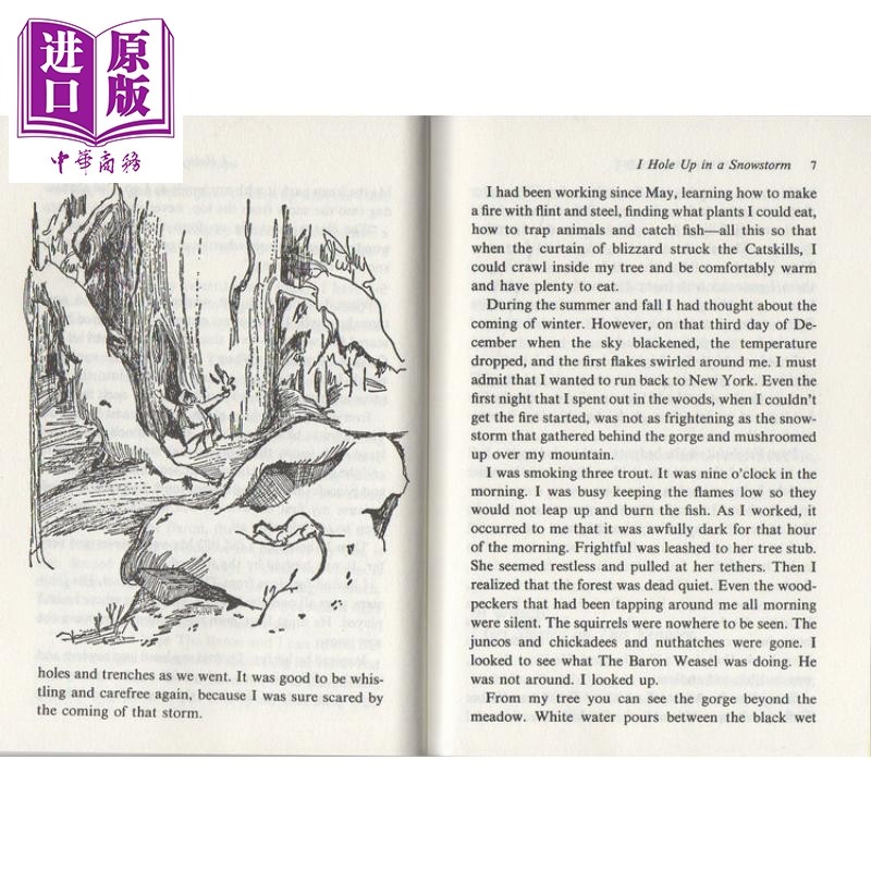 预售 纽伯瑞：山居岁月 1960年纽伯瑞银奖 My Side of the Mountain 儿童经典文学 平装 英文原版 7-12岁【中商原版】,淘宝优惠券,粉丝福利购,淘宝优惠卷
