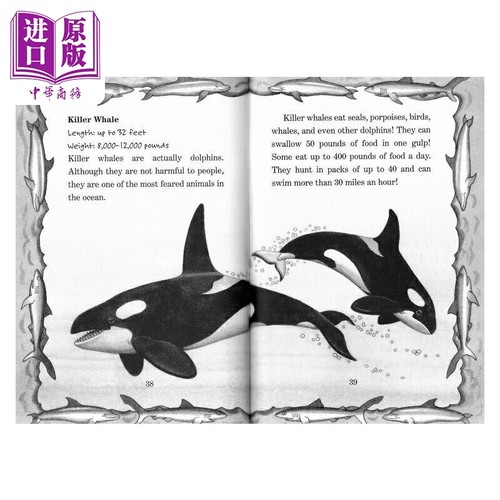 Magic Tree House Fact Tracker 神奇树屋小百科系列 英文原版 儿童桥梁章节书 中小学生分阶书籍 分级阅读读物【中商原版】 - 图2