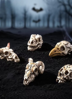 乌鸦头骨生态瓶微景观桌面摆件