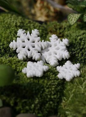 微景观造景摆件大小号圣诞雪花