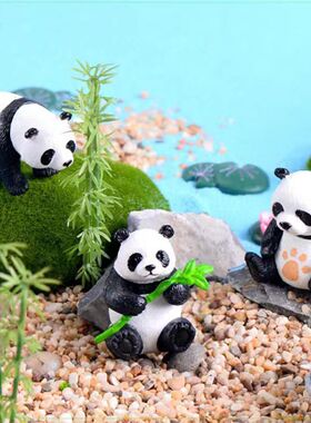 多肉迷你微景观大小熊猫造景摆件