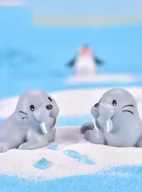 微景观多肉摆件海景沙滩可爱海象