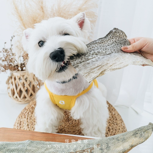 Рыбак -питомец замороженные сушено