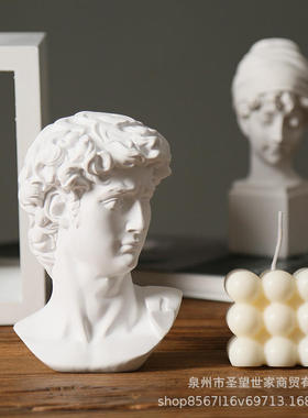 雕像迷你小树脂仿石膏大卫欧式头像摆件摆饰北欧风人物素描雕塑树