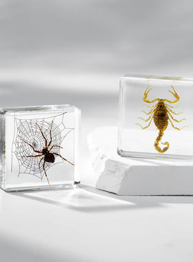 摆件树脂滴胶昆虫动物100多种甲虫蜘蛛千年虫儿童研学蝎子盲盒