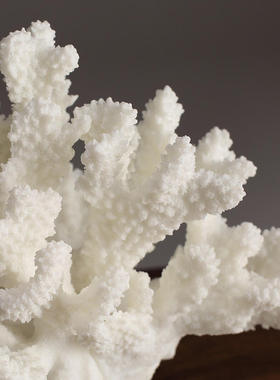 创意风格树脂仿真珊瑚电视柜摆件简约样板房客厅北欧茶几家居摆设