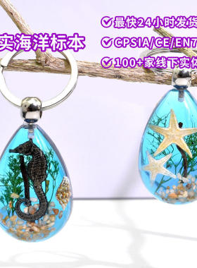 新奇特产品昆虫钥匙扣标本品昆虫琥珀树脂纪念品小礼品