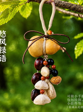 天然果壳风铃手工diy材料包挂件车挂饰音乐摇铃中秋节国庆重阳节