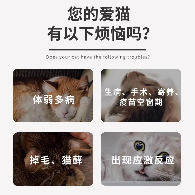 博莱得利转移因子免疫因子宠物猫用抗感染改善食欲猫咪保健品-图2