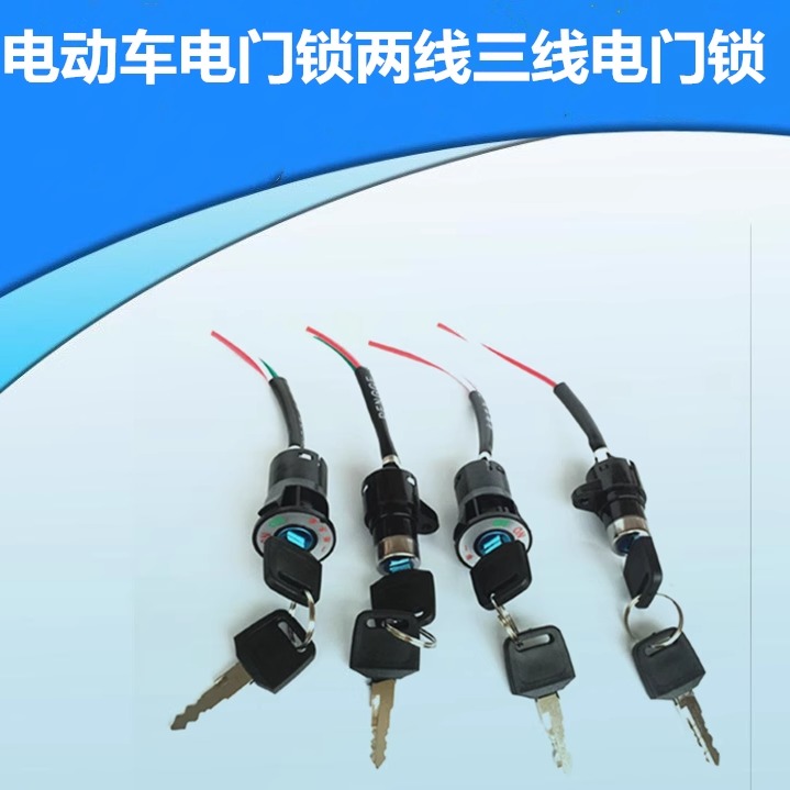 电动车电瓶车电门锁电源锁大头锁中头锁小头锁钥匙开关电摩通用 - 图0
