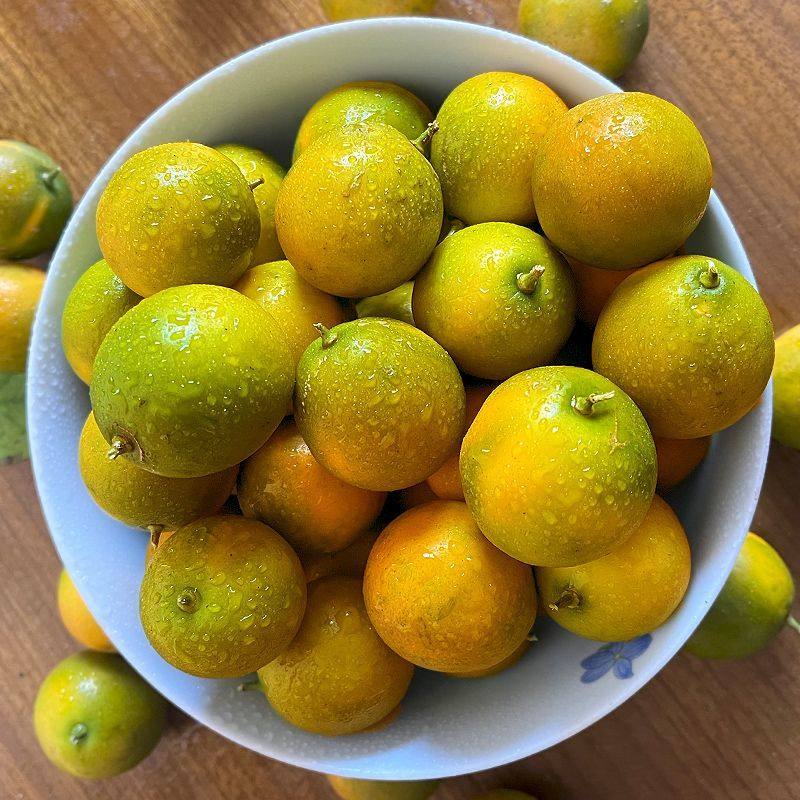 广西脆皮小金桔5斤新鲜桔子应当季水果纯甜蜜金柑孕妇整箱带皮吃 - 图2